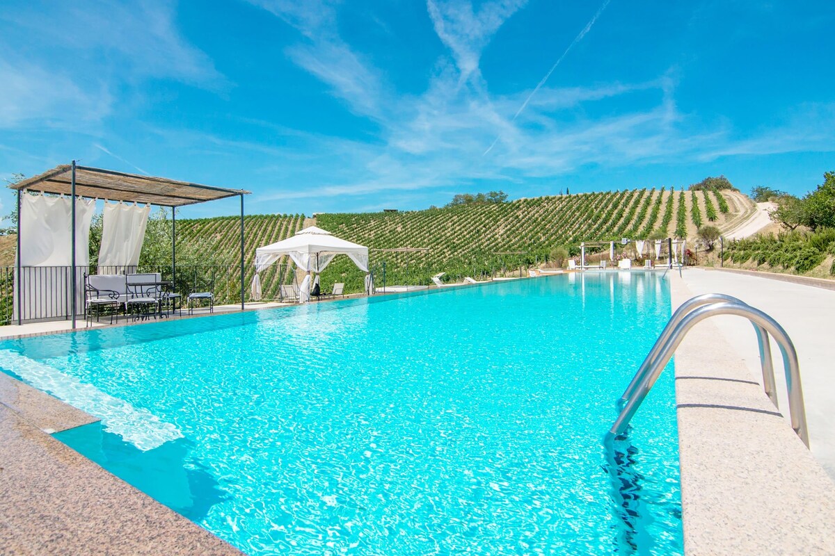 A swimming pool with a clear blue water, surrounded by a pergola and lounge chairs, with a vineyard in the background.