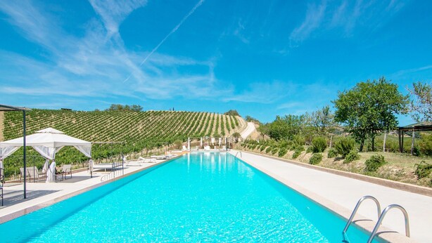 Una piscina con cielo azul despejado, un viñedo al fondo y un toldo blanco.