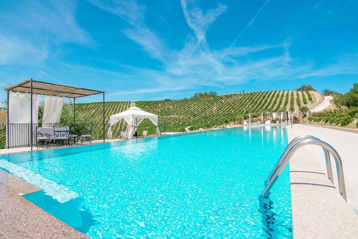 A swimming pool with a clear blue water, surrounded by a pergola and lounge chairs, with a vineyard in the background.