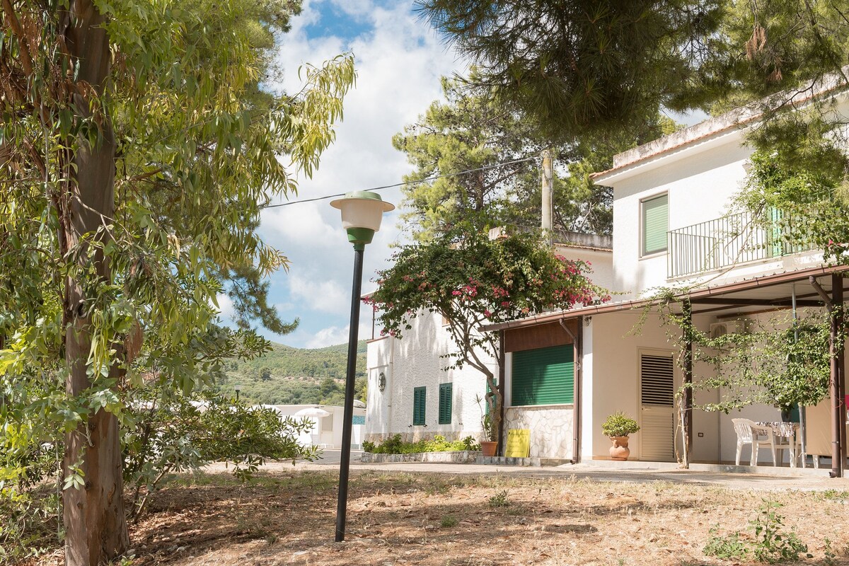 A white building with a balcony, a street lamp, and a potted plant.