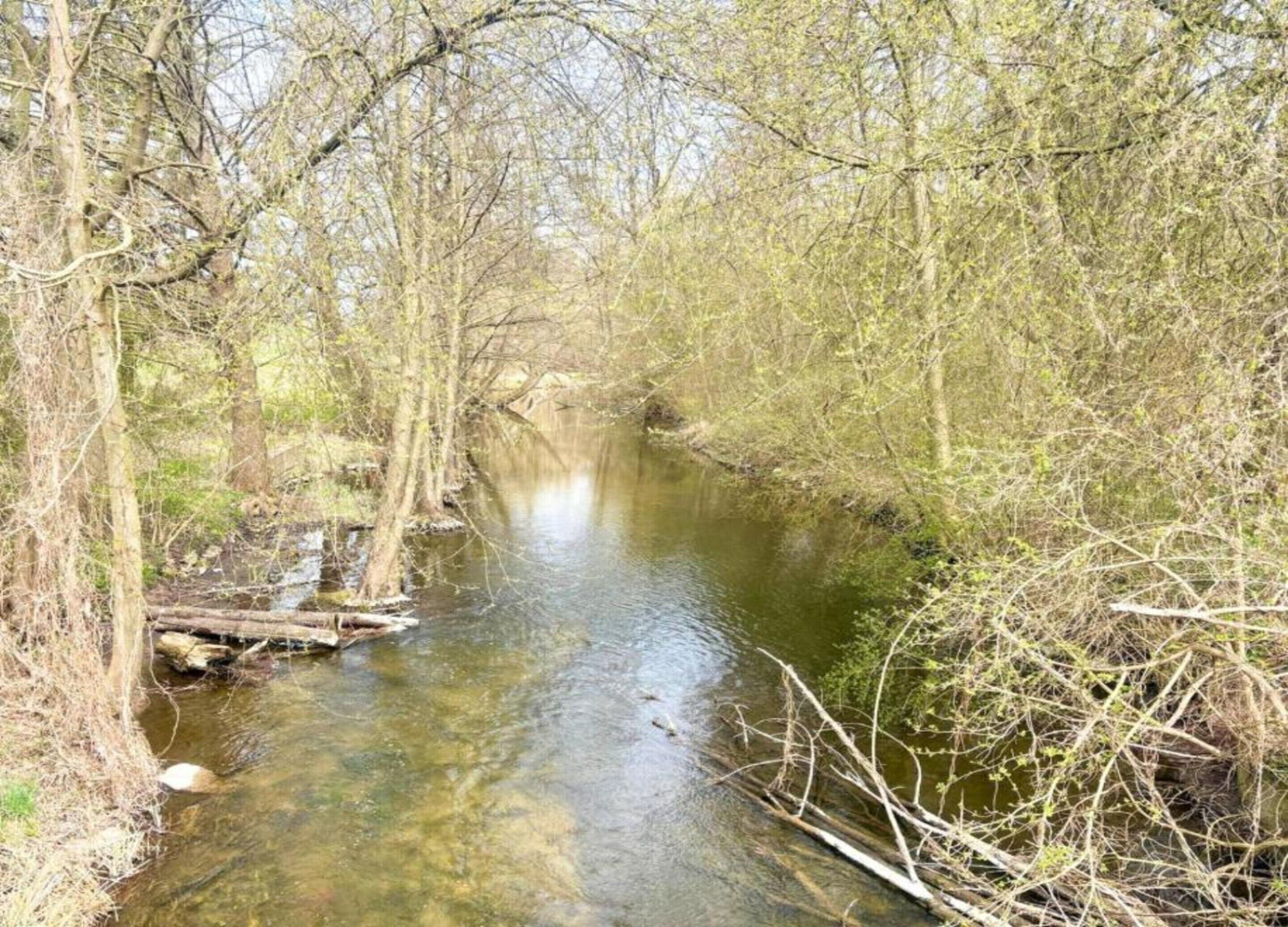 Un río estrecho rodeado de árboles.