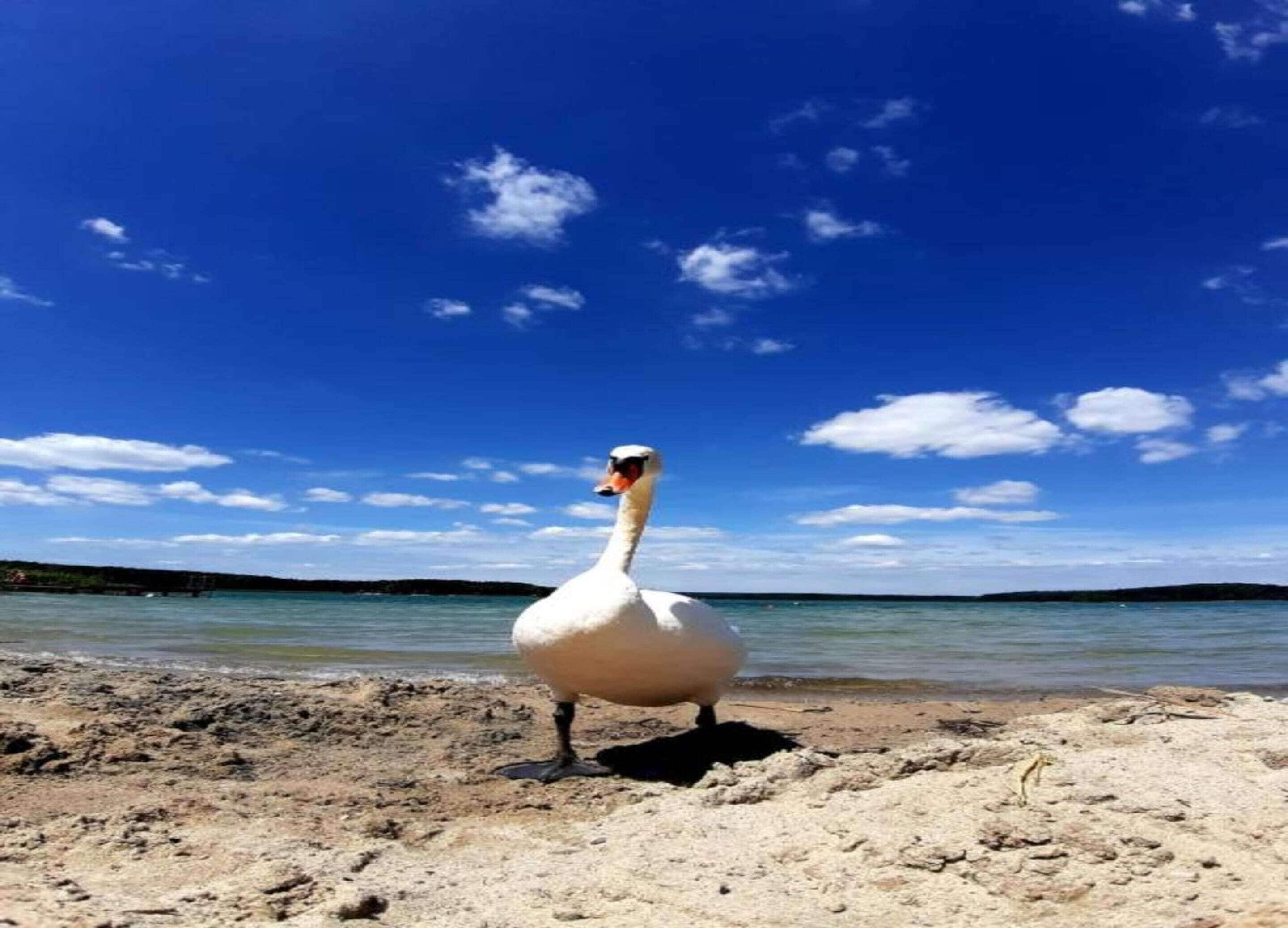 經典獨棟房屋, 3 間臥室 | 住宿景觀