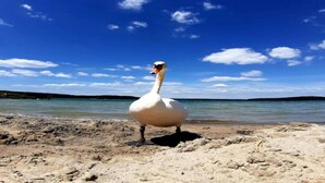 经典独立别墅, 3 间卧室 | 住宿景观