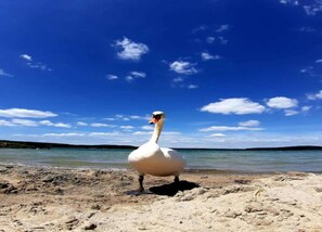 Classic House, 3 Bedrooms | View from property