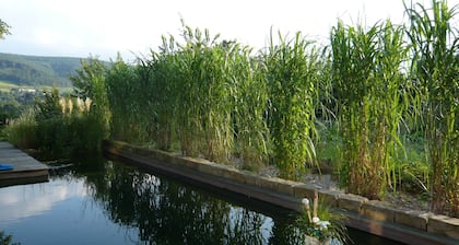 Relaxa at a Luxurious Villa in Bad Pyrmont