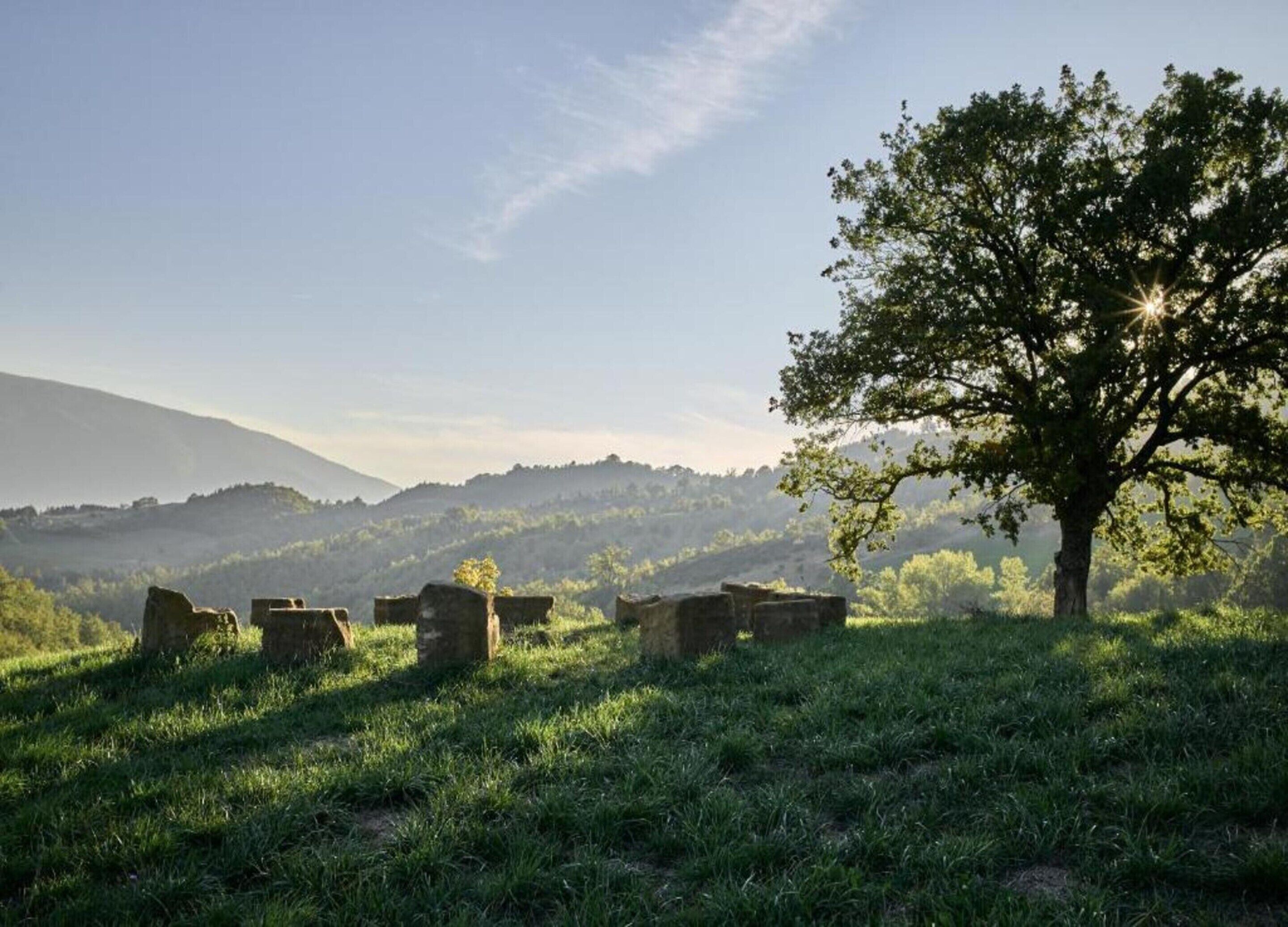 A grassy landscape with stone ruins and a large tree.
