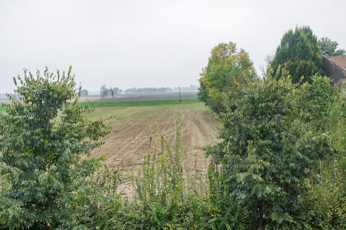Een landelijk landschap met een veld, bomen en een gebouw in de verte.