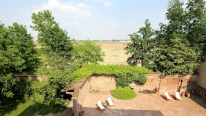 Jardim
