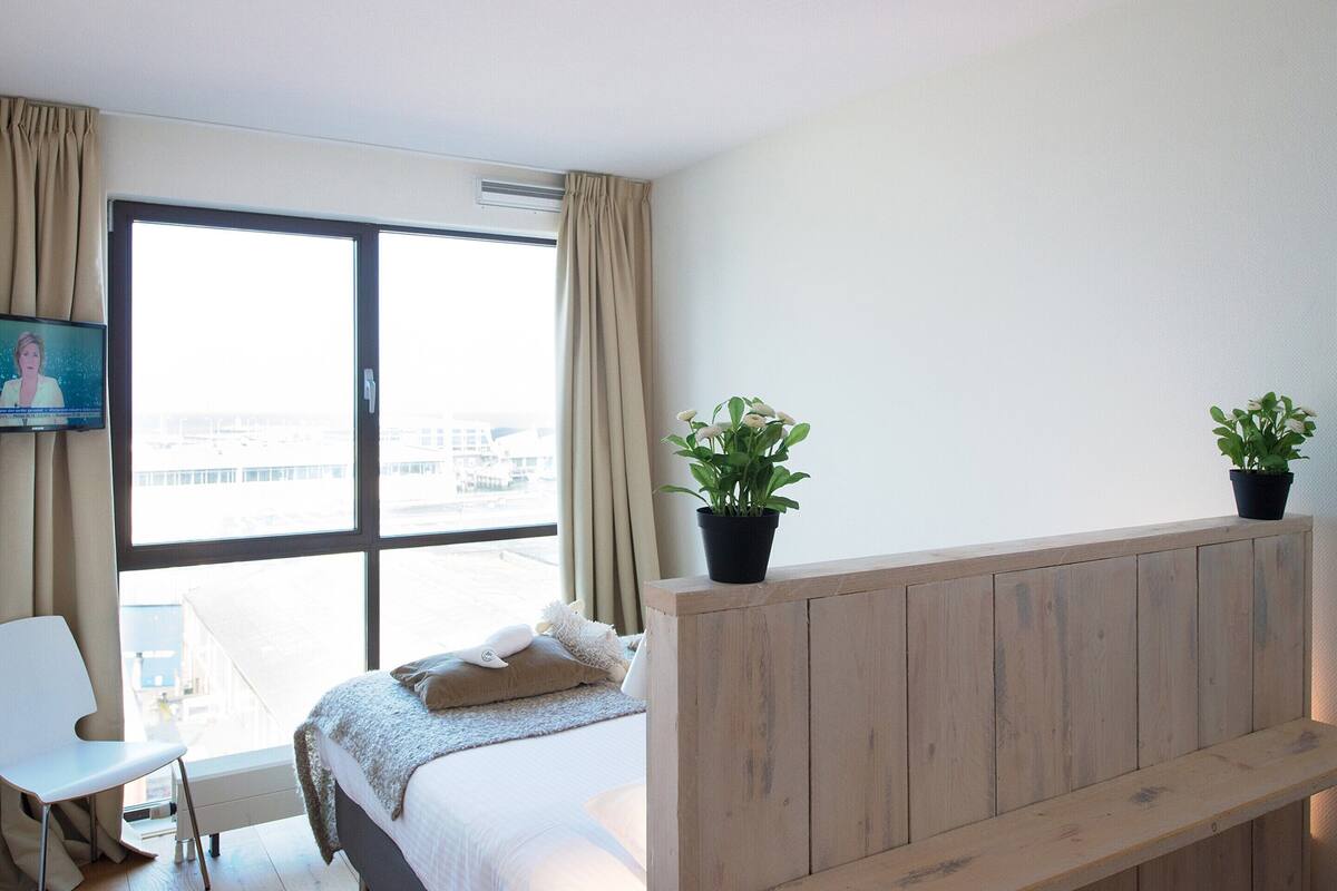 Habitación de hotel con cama, escritorio, silla, televisor y dos plantas en macetas.