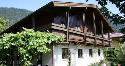 Quaint Mansion Near ski bus in Goldegg