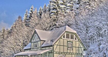 Deluxe Holiday Home in Brilon-wald Near Ski Area