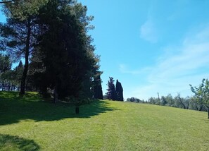 Deluxe Villa, 4 Bedrooms | View from property