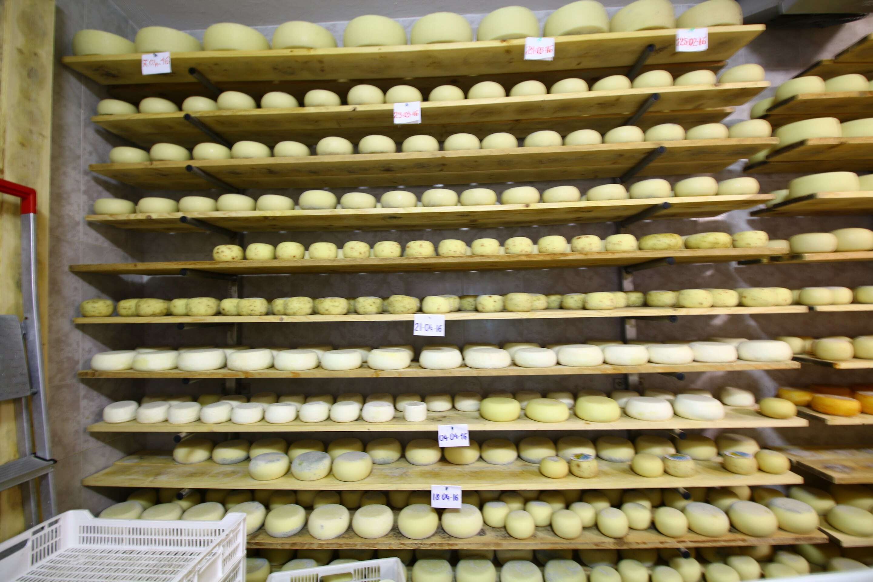 Una exhibición de quesos con varias estanterías llenas de ruedas de queso redondas, cada una con una etiqueta de precio.