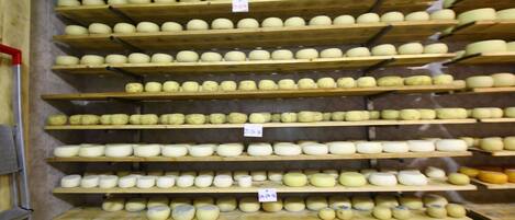 Una exhibición de quesos con varias estanterías llenas de ruedas de queso redondas, cada una con una etiqueta de precio.