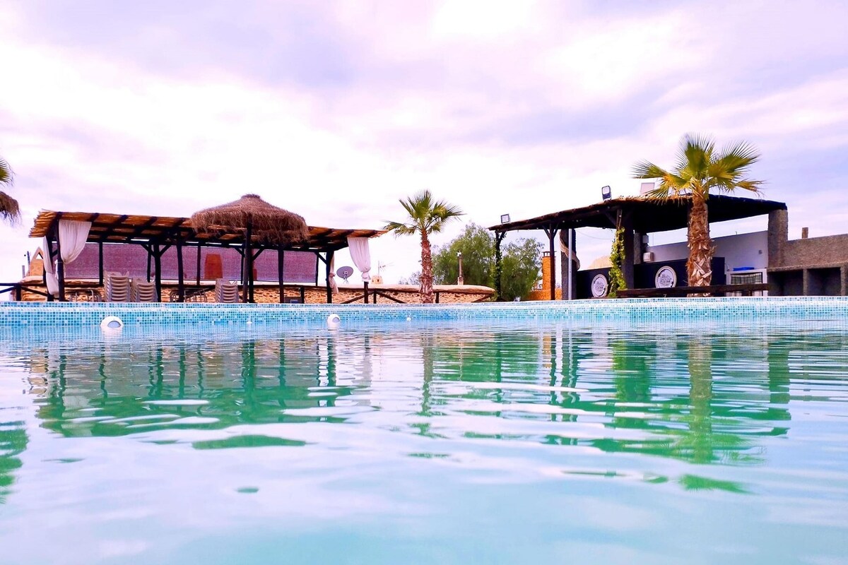 A swimming pool with a tiled edge, a thatched-roof structure, and palm trees in the background.