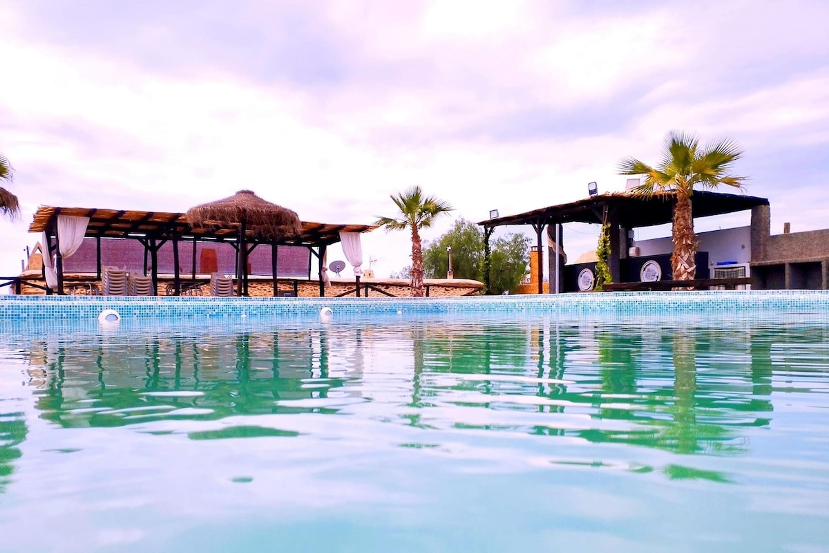 A swimming pool with a tiled edge, a thatched-roof structure, and palm trees in the background.