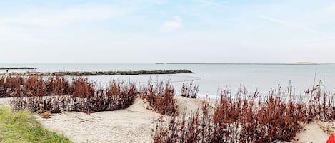 Playa