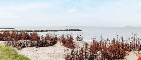 Pantai