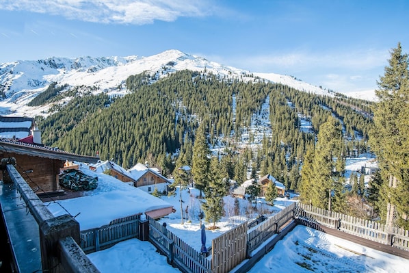A snow-covered mountain with a forested slope and a small village with wooden houses and a wooden fence.