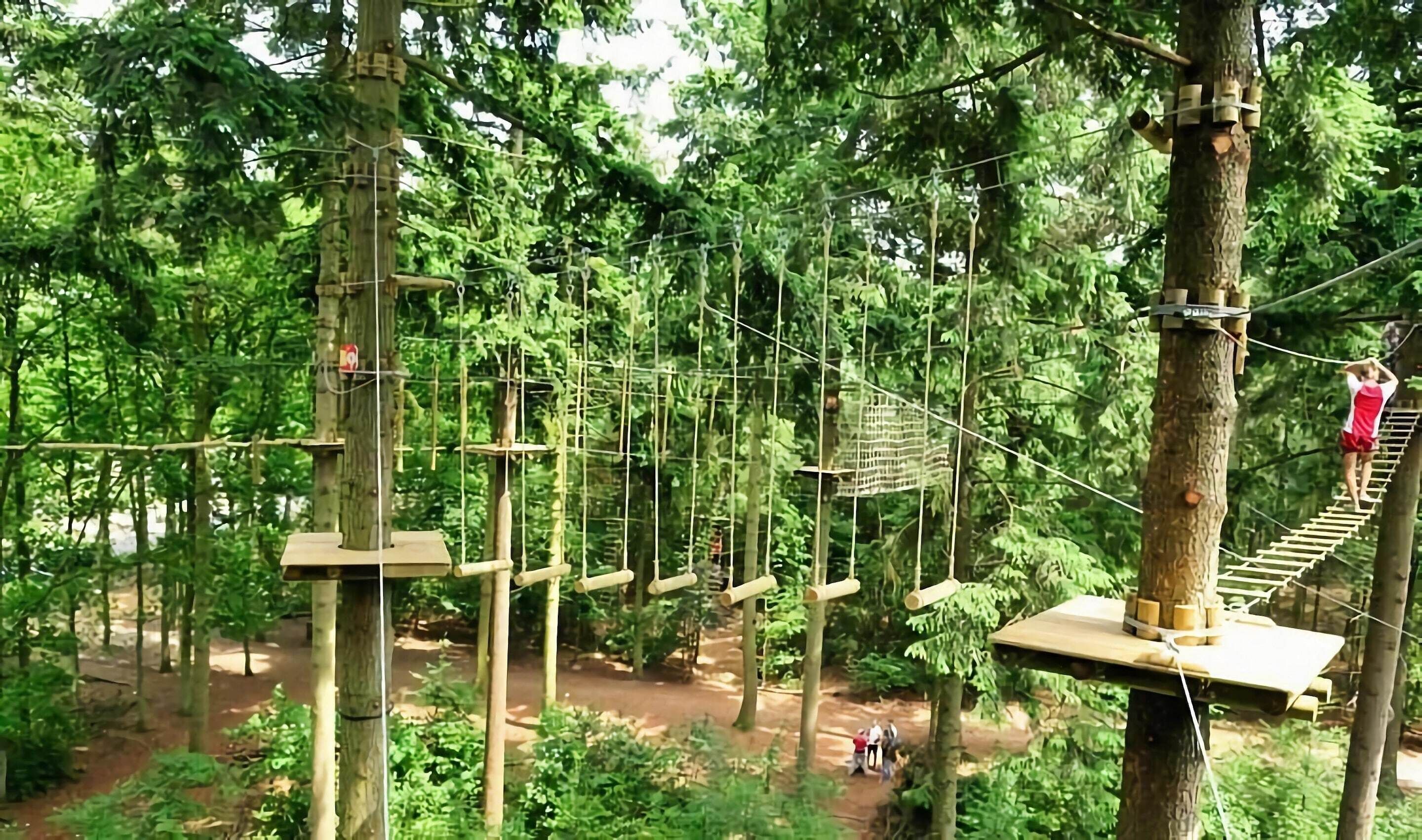 Un puente colgante en un área boscosa con varias plataformas y árboles.