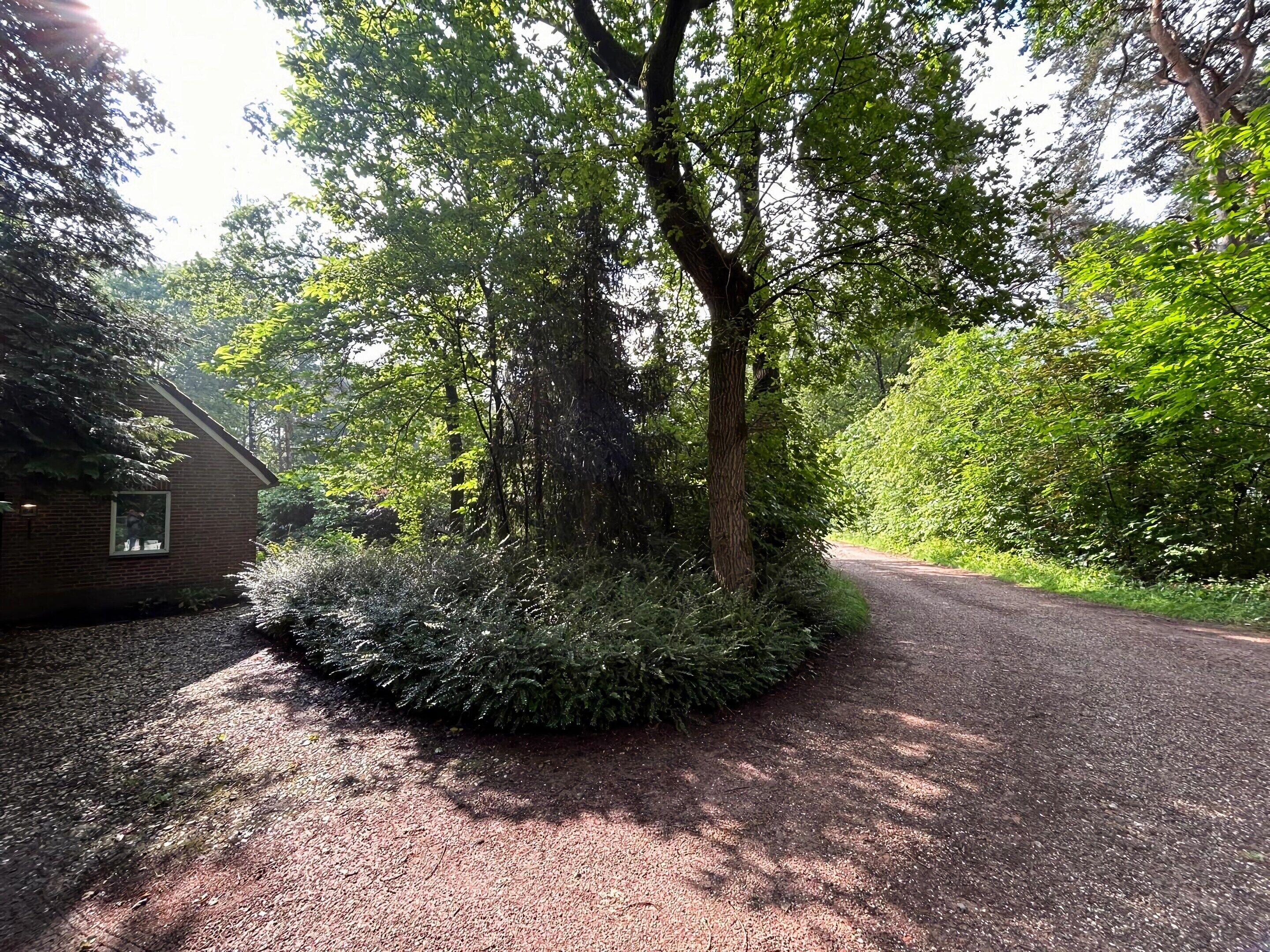 舒适独立别墅, 3 间卧室 | 住宿景观