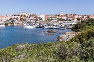 Vista desde la propiedad