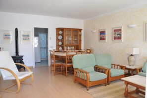 暖炉、DVD プレーヤー