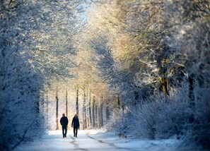 Uitzicht vanuit accommodatie
