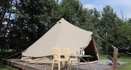 Beautiful Safari Tent in Twijzel With Terrace