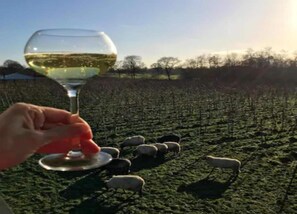 Classic Tent, 2 Bedrooms | View from property - Beautiful Safari Tent in Twijzel With Terrace (Twijzel)