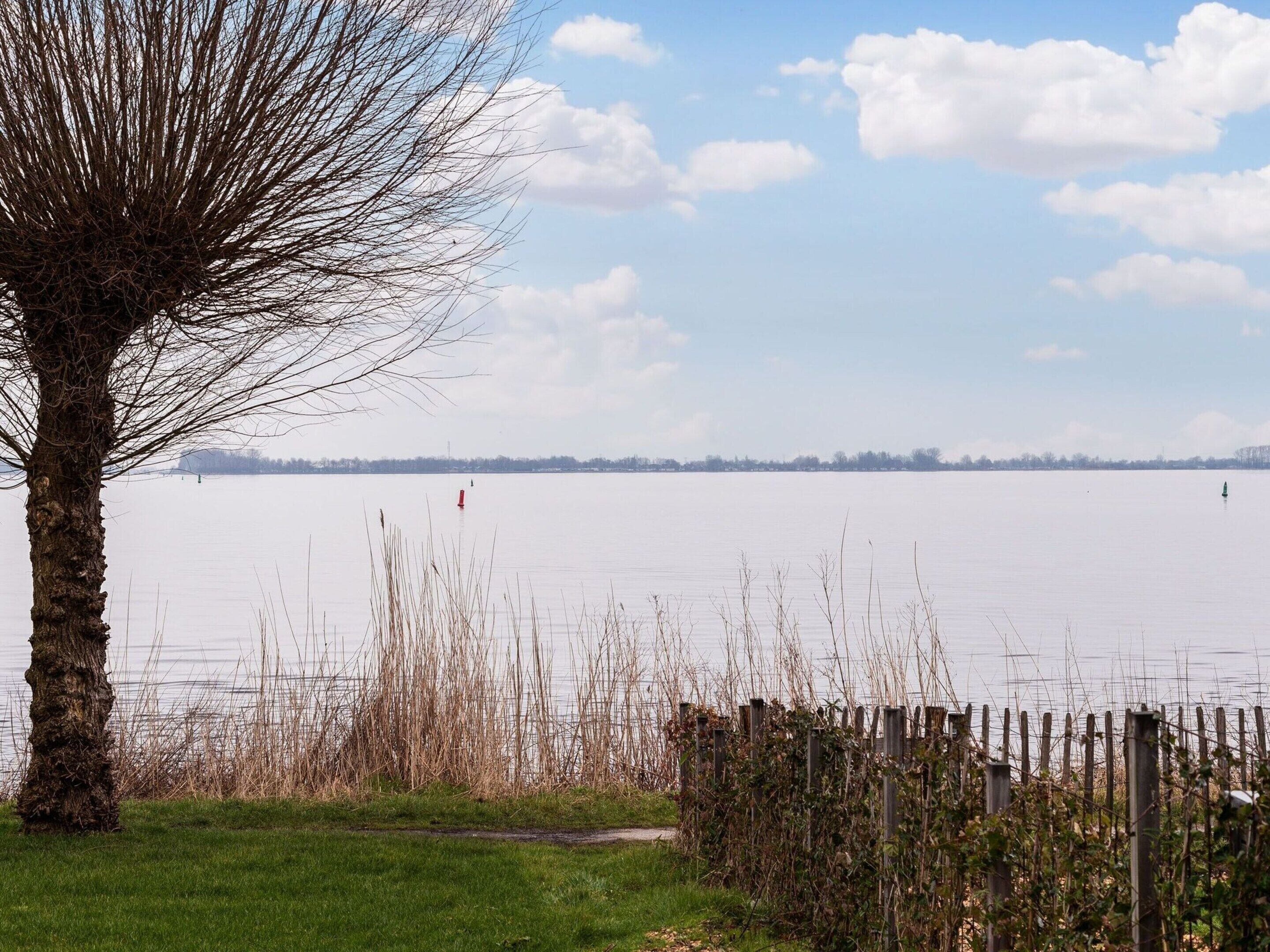 Un lac paisible, un ciel dégagé, un arbre et une clôture en bois au premier plan.