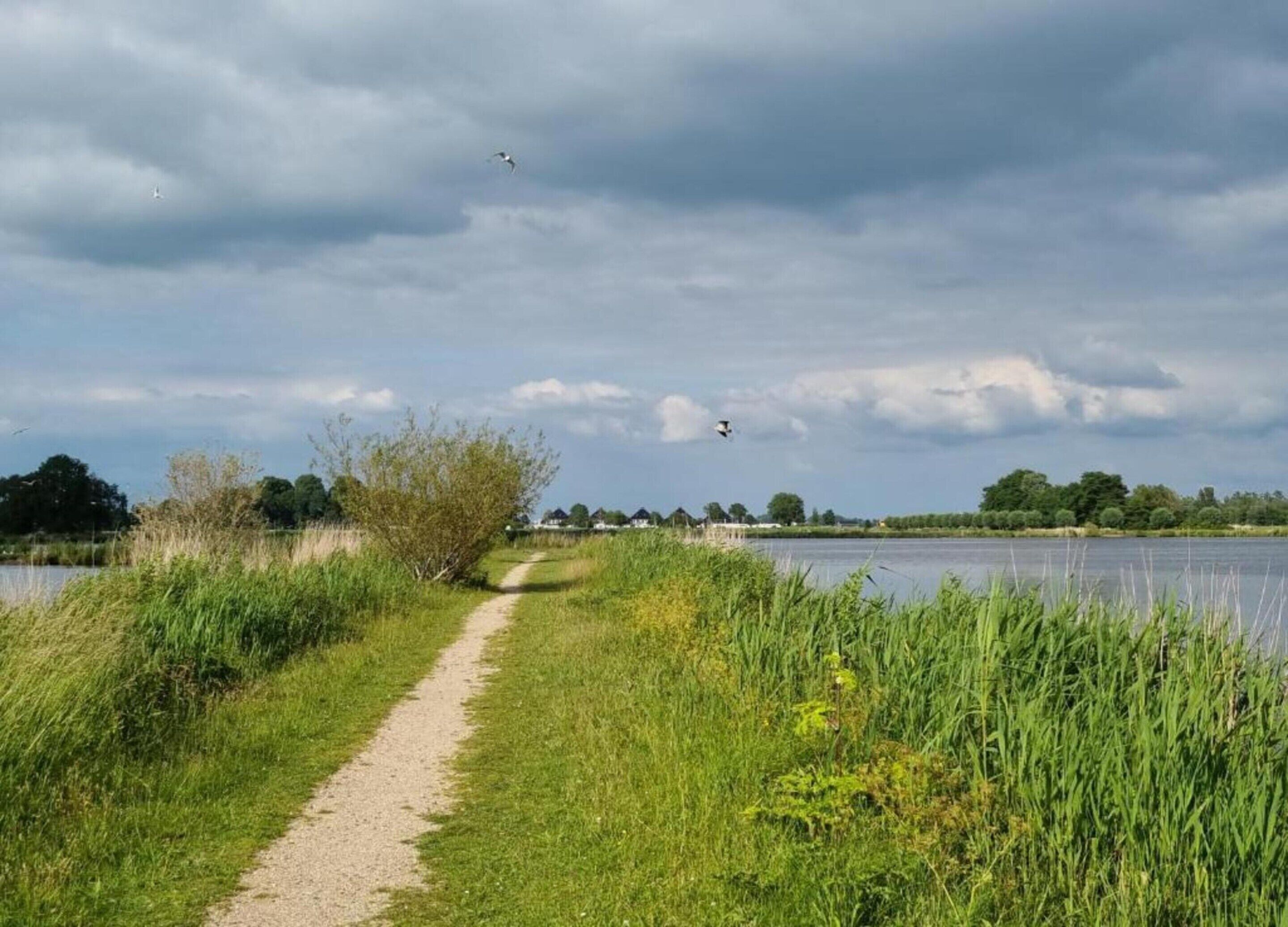 A gravel path leading to a body of water with overcast skies.