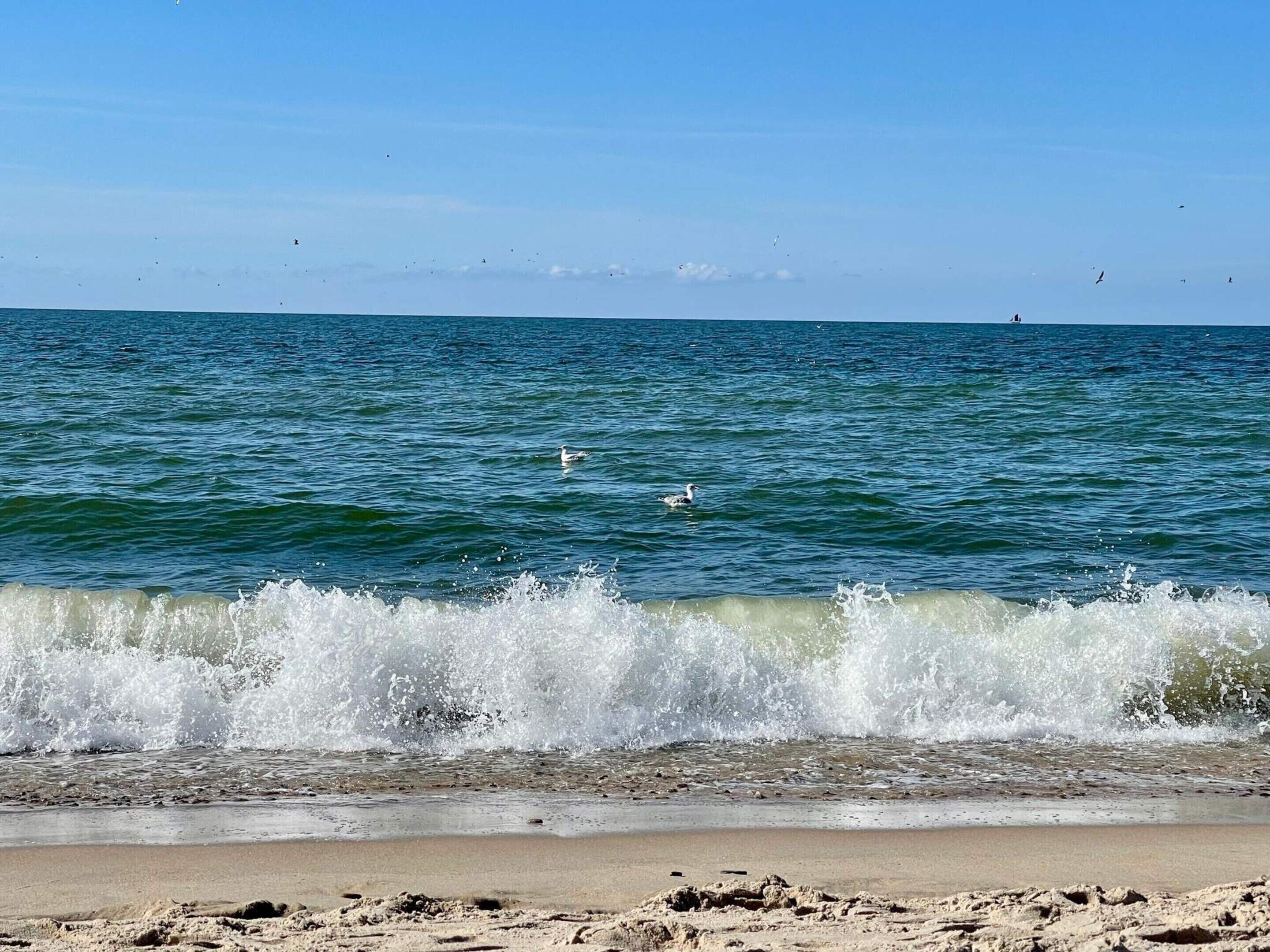 Comfort-hus - 3 soveværelser | Udsigt over vandet