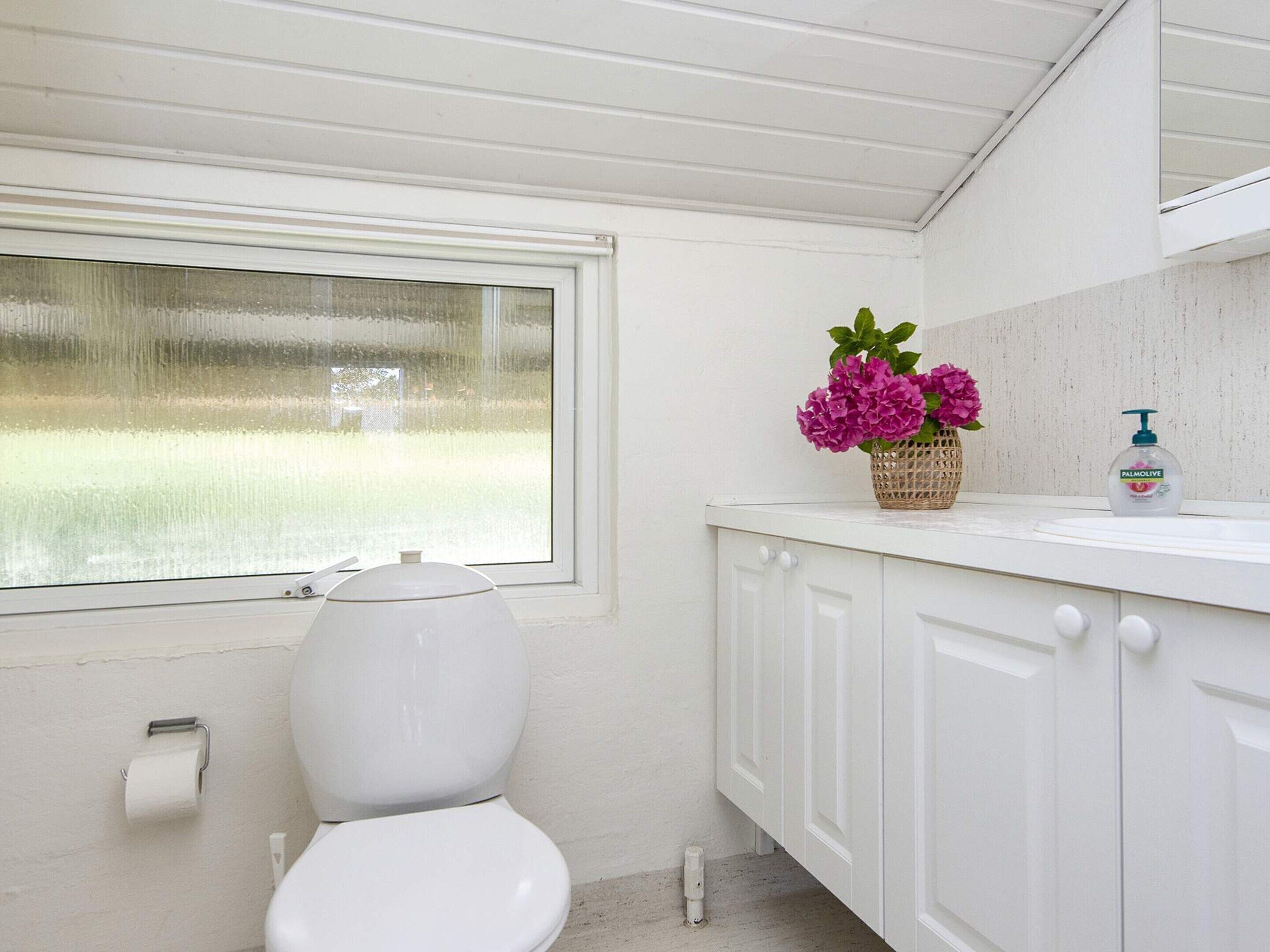 A bathroom with a toilet, a window, a sink with a soap dispenser, and a potted plant.