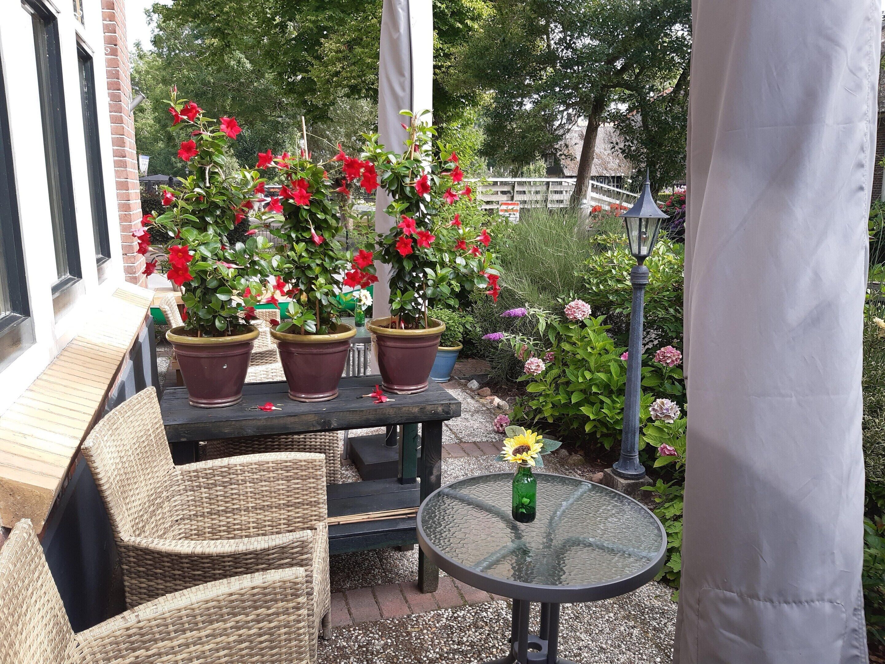 A patio area with wicker furniture, potted plants, and a glass table.