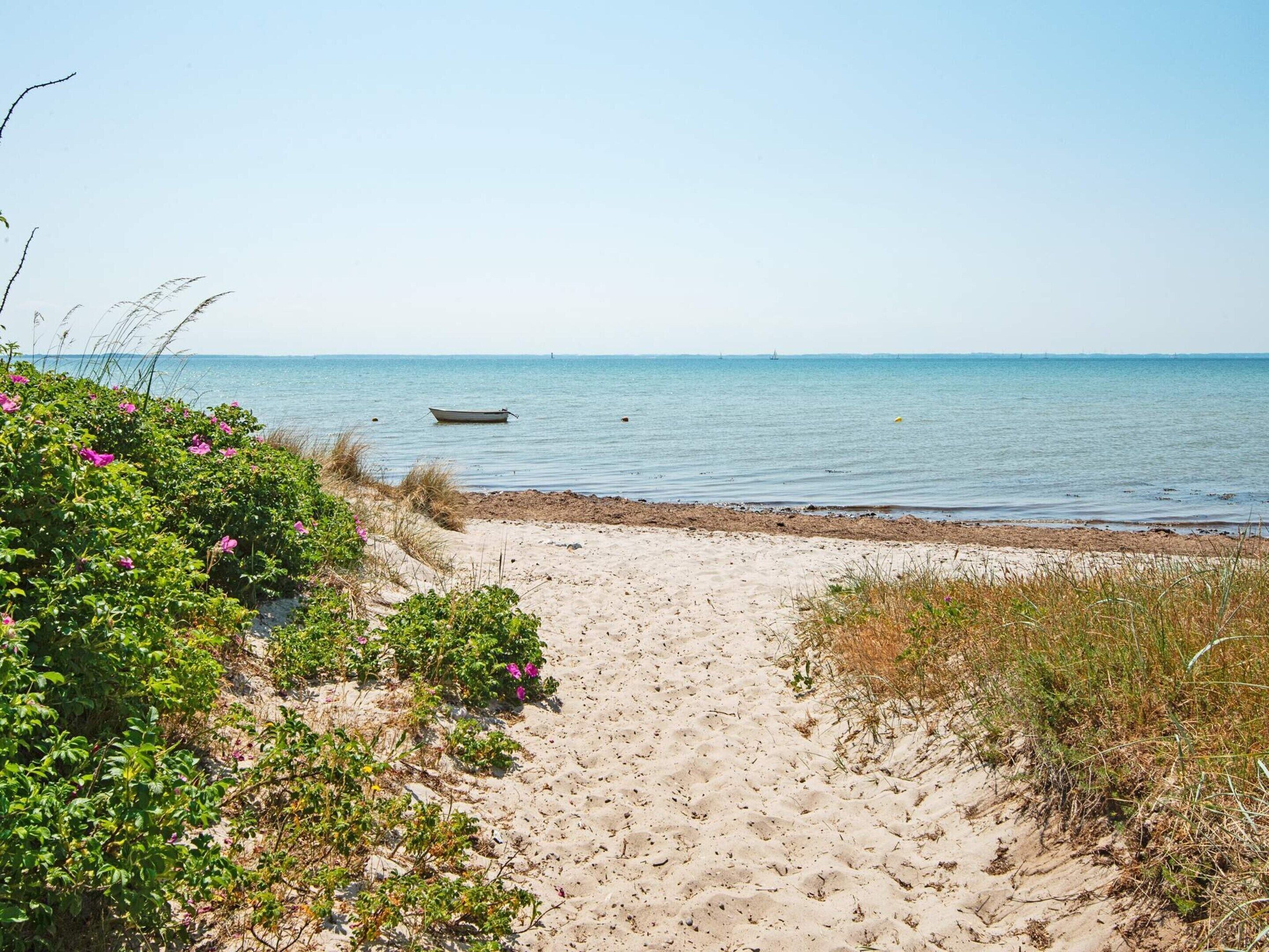 Une plage de sable avec un bateau sur l’eau et de la végétation sur le rivage.