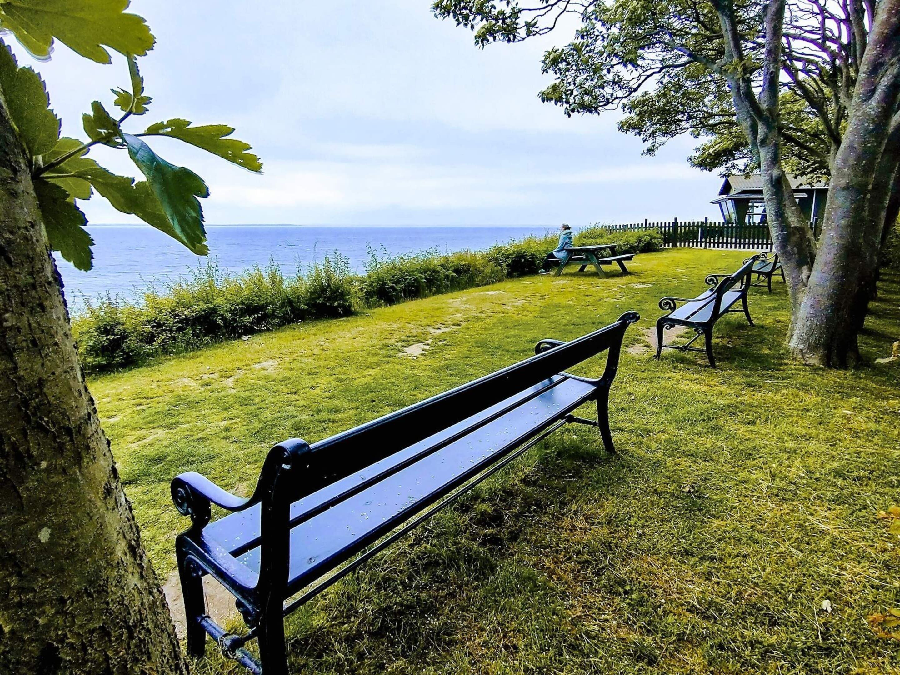 Un banc de parc donnant sur une pelouse, avec vue sur la mer.