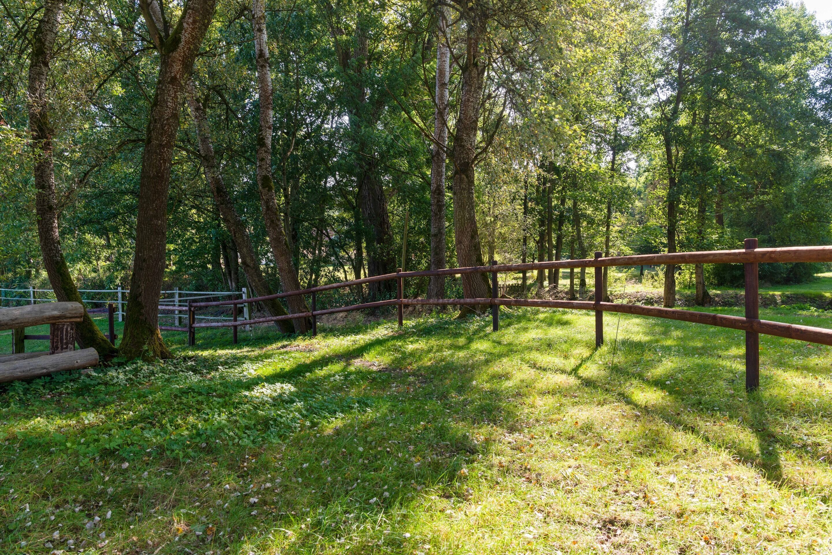A wooden fence in a wooded area.