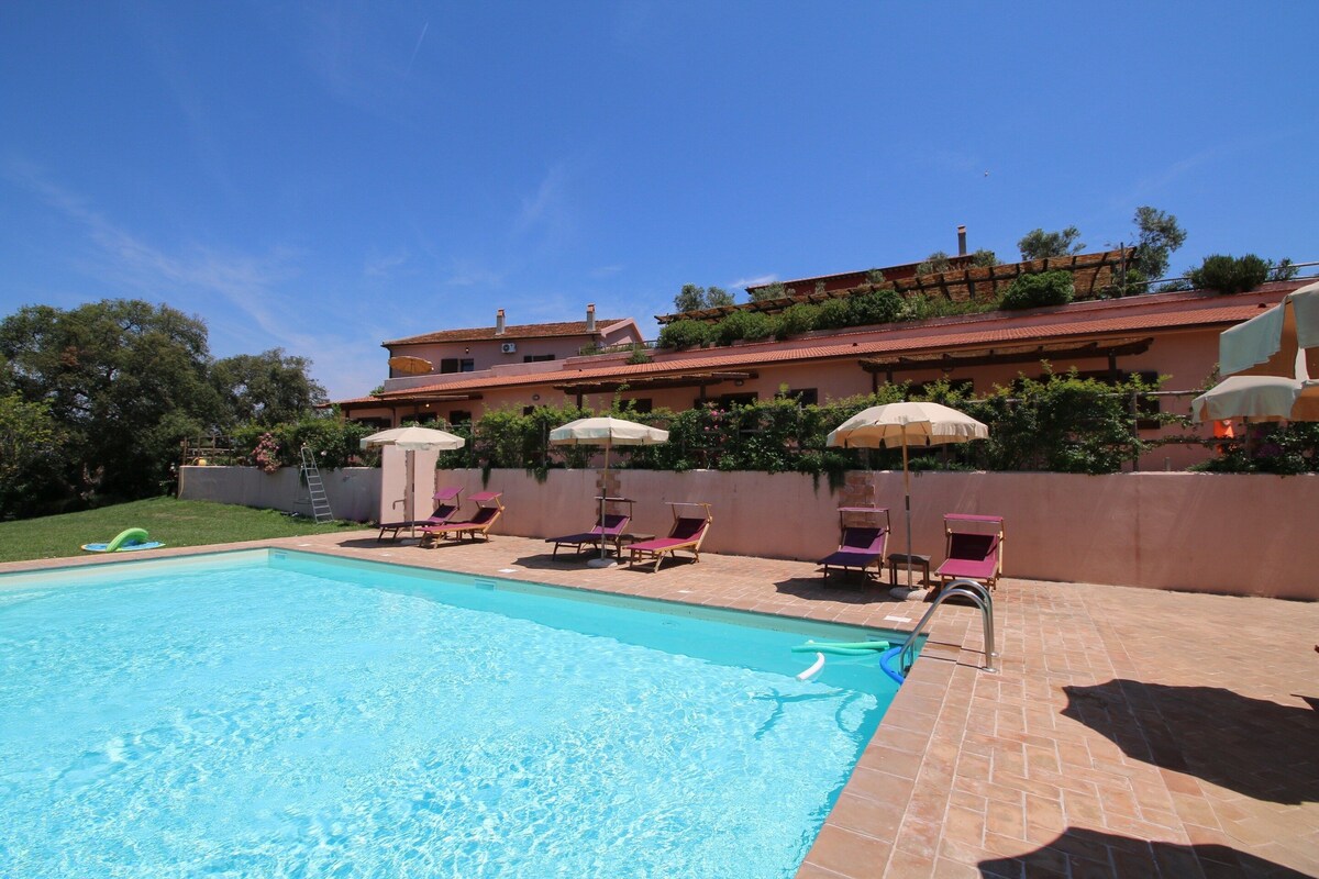 Une piscine avec des chaises longues et des parasols, un ciel bleu azur et, au loin, un bâtiment avec un toit rouge.