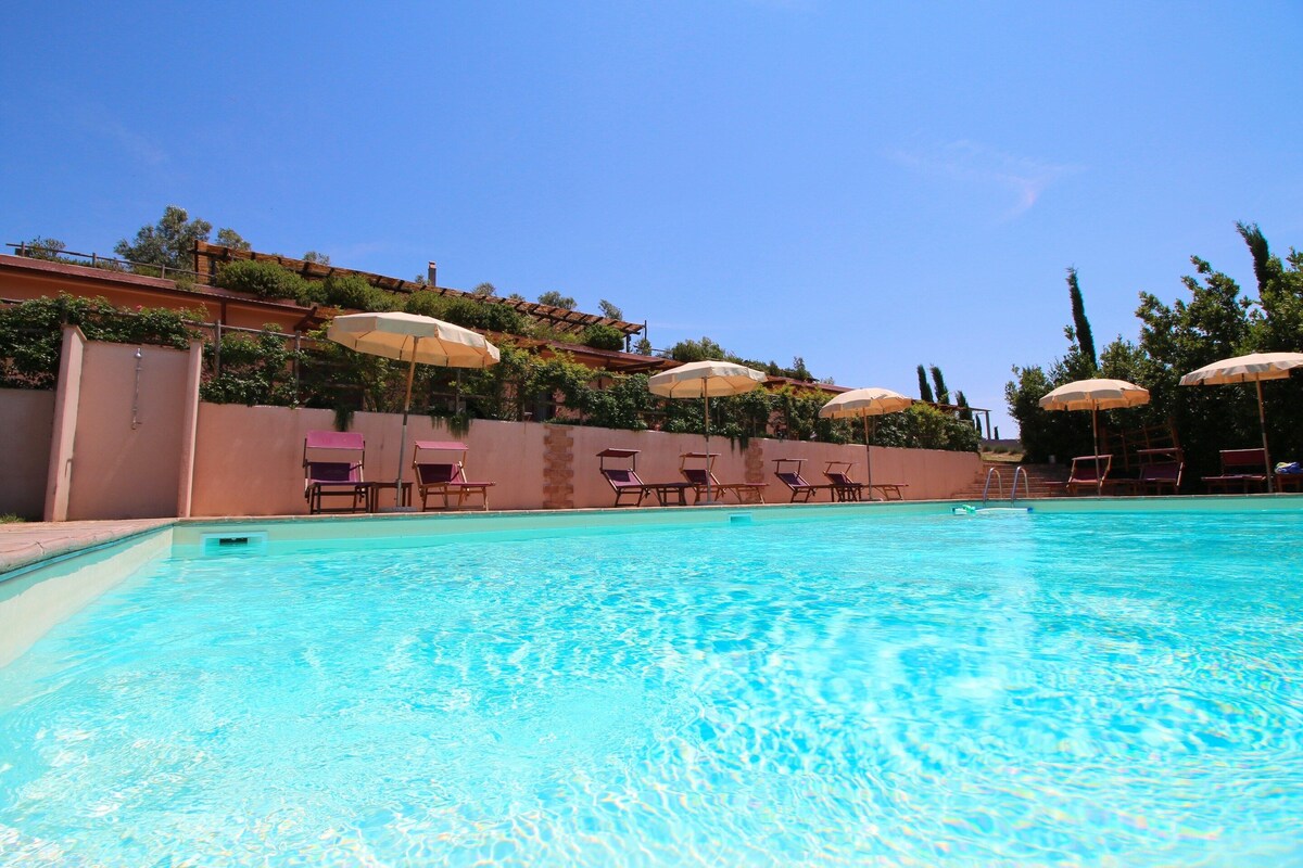 Una piscina con agua cristalina, rodeada de sillas de descanso y sombrillas, y un muro de ladrillo con plantas.