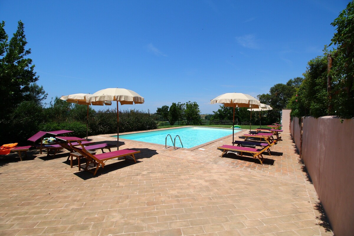 Un espace aménagé au bord de la piscine, avec des chaises longues et des parasols, un ciel d’un bleu éclatant et une piscine.