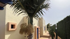 A courtyard with a palm tree, a potted plant, and a tiled floor. - CASA MAY , LUXURY VILLA

 UNIQUE ONE OFF MOROCCAN VILLA

5 STARS  on Tripadvisor (Corralejo)