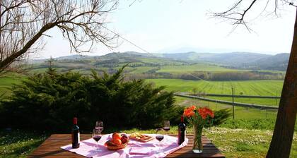 Modern Farmhouse in Pienza With Pool
