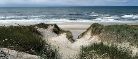 经典公寓, 3 间卧室 | 水景