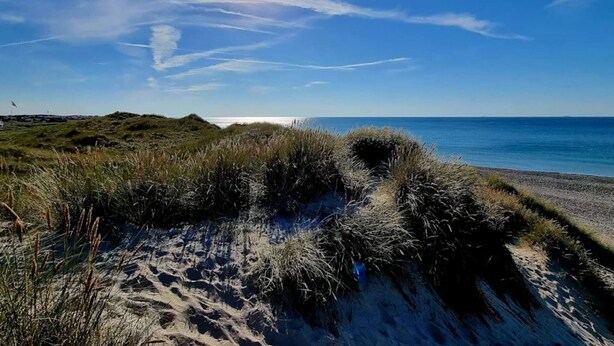 Una playa con dunas y cielo despejado.