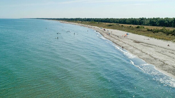A beach with clear water, a sandy shore, and a forested area in the background. - 6 Person Holiday Home on a Holiday Park in Vaeggerlose (Vaeggerlose)