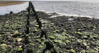 6 Person Holiday Home in Hojer