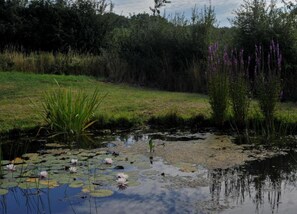 Comfort House, 4 Bedrooms | View from property - Large Cottage Overlooking the Sunny Courtyard With Fountain (Comines-Warneton)