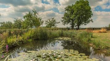 Classic House, 2 Bedrooms | View from property