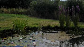 Nhà phong cách cổ điển, 2 phòng ngủ | Quang cảnh nhìn từ nơi lưu trú